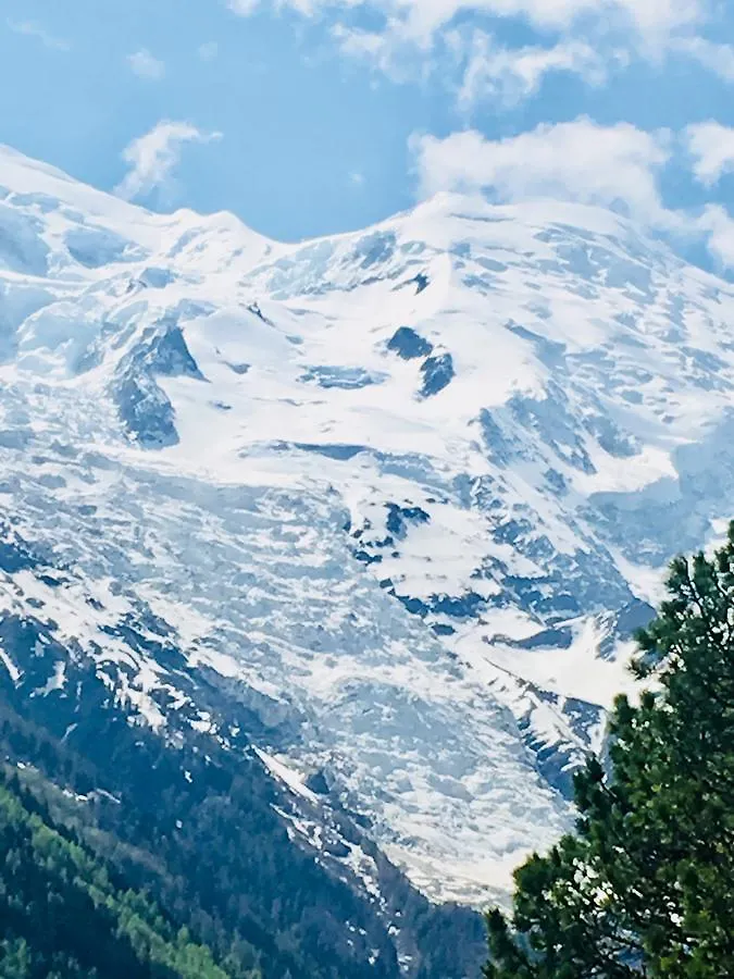 Appart'Hotel Aiguille Verte & Spa Chamonix